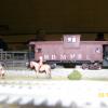 2012-geham-train-show-010
