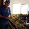 buds-lumber-mill-module